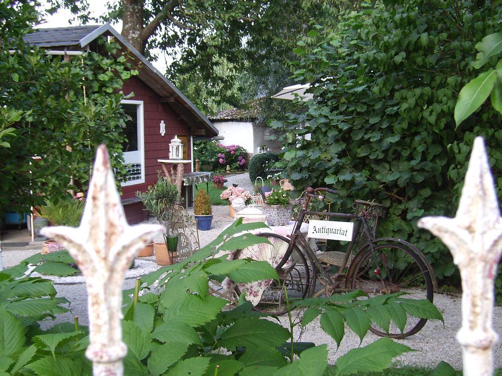 Romantikzimmer Im Antiquariat Sonnschied 객실 사진